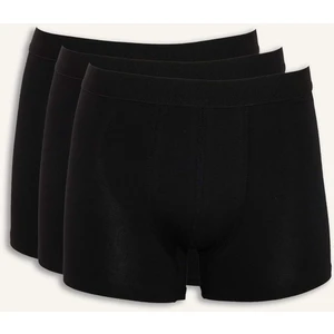 Regular Fit 3'lü Boxer N4277AZ26SP