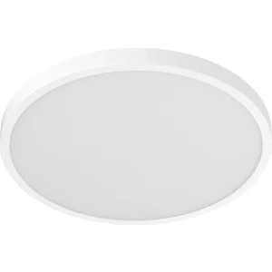 Smart Ceiling Light D20