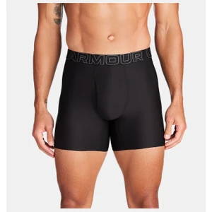 Under Armour Erkek UA Performance Tech Mesh Solid 6" 3'lü Boxer