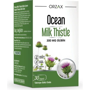 Milk Thistle 30 Tablet 300MG Silbin