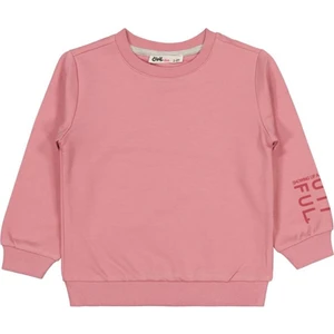 Civil Girls Basic 2-5 Yaş Sweatshirt - Pembe