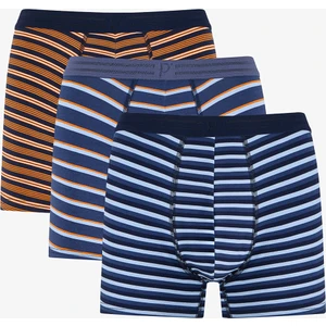 Erkek Çizgili 3'lü Boxer