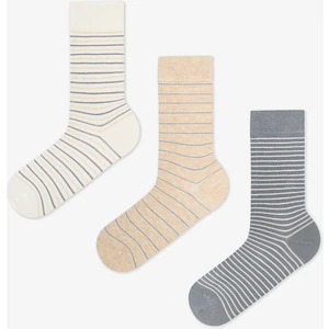 Erkek Renkli Calm Stripes 3'lü Soket