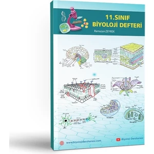 11.sınıf Biyoloji Defteri