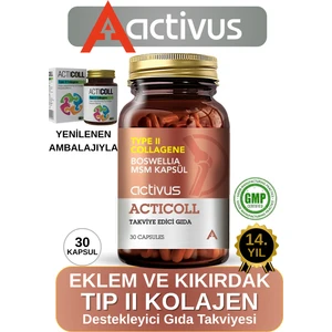 Type II Collagene 30 Kapsül