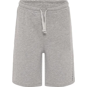 Routefield Çocuk Şort Sonic Kids Gri Melanj