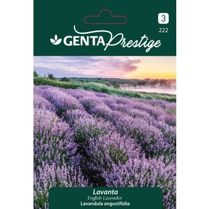 Genta Prestige Lavanta Çiçek Tohumu