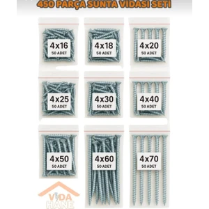 Vidahane Ağaç ve Sunta Vida Seti 450 Parça