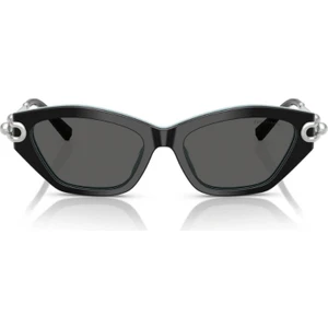 Tıffany & Co. TF4231 8055/S4