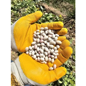 YPS Süt Ispir  Fasulyesi 2 kg