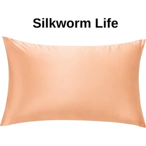 Somonrenkli % 100 Saf Ipek Yastık Kılıfı