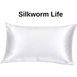 Beyaz RENKLI 100% Ipek Yastık Kılıfı ( 50 cm 70 Cm)
