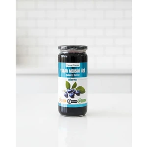 Ziraat Tarım Yaban Mersini Özü 620 gr