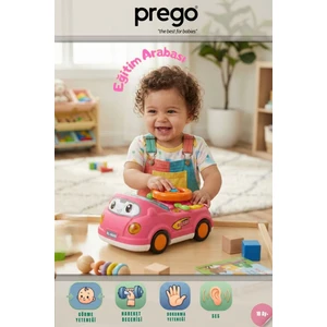 Eğitim Arabası Pembe 2406