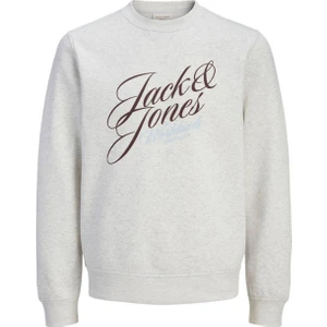Jack & Jones Jorinwood Erkek Sweatshirt