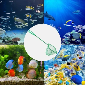 Akvaryum Balık Kepçesi 10 Cm.