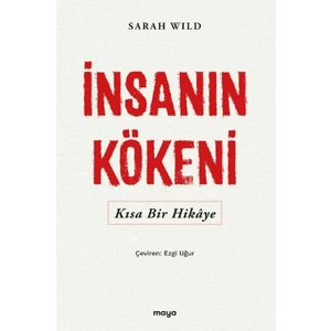 Maya Kitap Insanın Kökeni