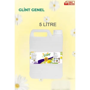Glint Temizleyici -5 Litre