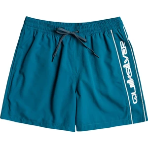 Vert 16 Jamv Erkek Mavi Volley Short