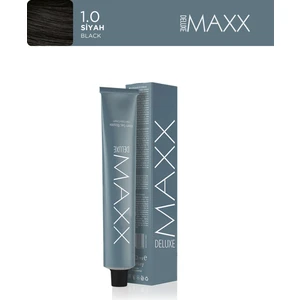 Maxx Deluxe Tüp Boya 60 ml 1.0 Siyah