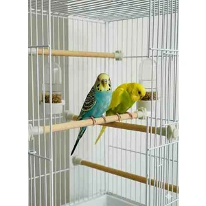 20 cm Kuş Tunekleri