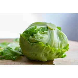 Göbek Marul Iceberg 30 Adet Tohum