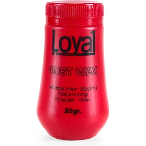 Pudra Saç Şekillendirici Wax 20 gr
