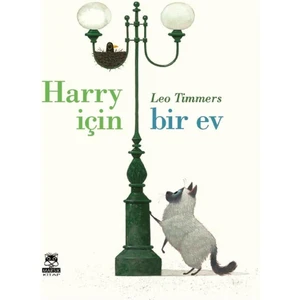 Marsık Kitap Harry İçin Bir Ev