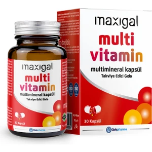 Multivitamin Multimineral 30 Kapsül