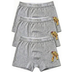 Erkek Çocuk Boxer 3'lü (%96 Pamuk - %4 Elastan)
