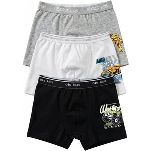 Erkek Çocuk Boxer 3'lü (%96 Pamuk - %4 Elastan)