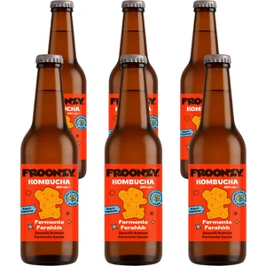 Kombucha Zencefil 6 Adet 330ML