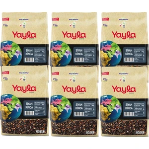 Gurme Siyah Kinoa 250 gr X6
