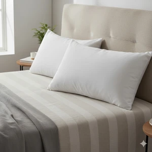 Eze Home 2'li Yastık 50X70CM