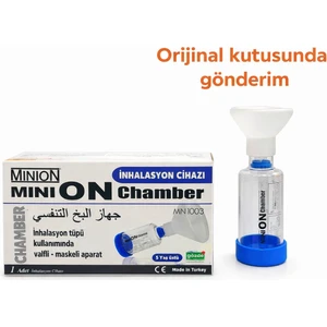 Mınıon Chamber Large