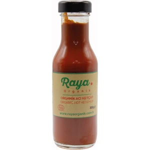 Raya Organik Organik Acı Ketçap - 300G