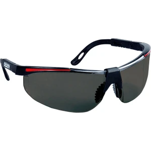 Aran Safety Neptune Gözlük (5 Adet)
