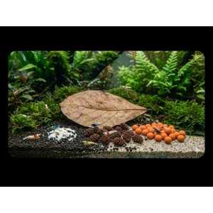 Marimo Scape Karides Bakım Seti