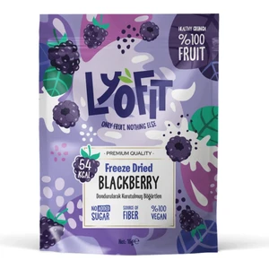 Freeze Dried Böğürtlen 15G