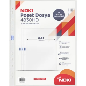 Hd Poşet Dosya 100'LÜ 4830HD