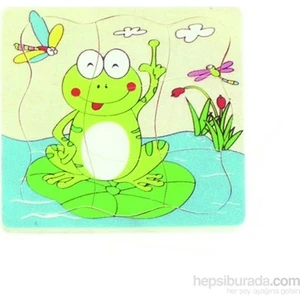 Kurbağa Gelişim Evreleri