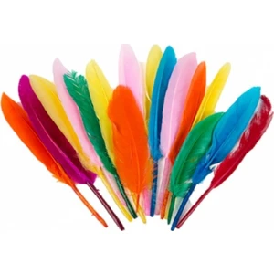 Tüy Karışık Renkli 10'lu