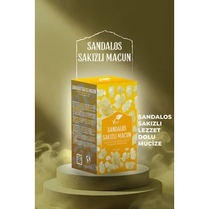 Sandalos Sakızlı Macun 230 gr