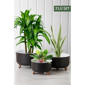 Nandy Home Tripot Model 3'lü Saksı Seti