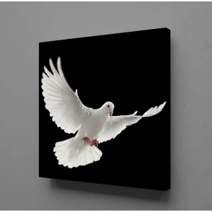 BEYAZ KUŞ KANVAS TABLO - 110x110cm