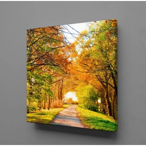 SONBAHAR KANVAS TABLO - 60x60cm