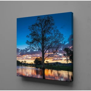 GÖL İÇİNDEKİ AĞAÇ KANVAS TABLO - 70x70cm