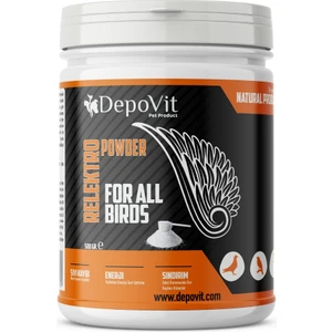 Relektro Lite Elektrolit Toz 500 gr