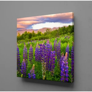 SÜMBÜL MANZARASI KANVAS TABLO - 90x90cm