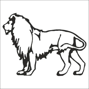 ASLAN FOLYO STİCKER - 200cm Uzunluk